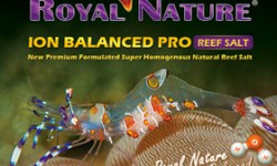 New salt Royal Nature