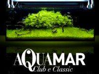Acquari Aquamar