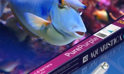 Aquaristica HiLite