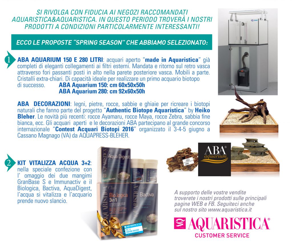 AQinfoSprinSeason2