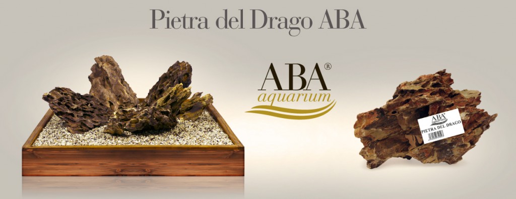BannerPietreSitoWEBAQDRAGO