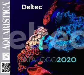 DELTEC 2020
