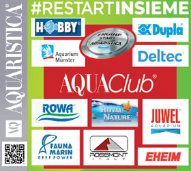 Promo #restartinsieme