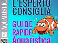 L’Esperto consiglia