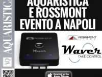 Evento AQ Rossmont