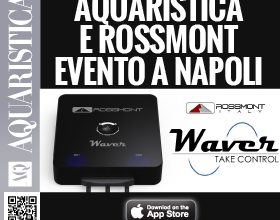 Evento AQ Rossmont