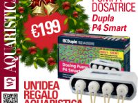 Idea regalo AQ