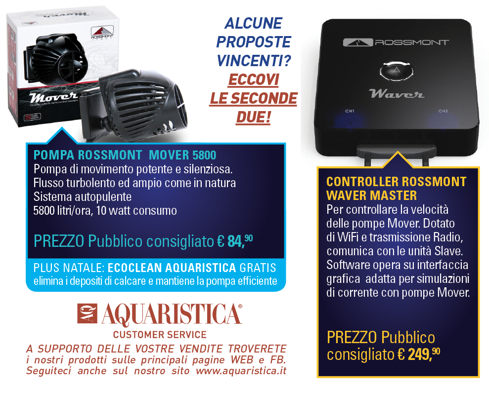 Schermata 11-2457352 alle 12.08.31