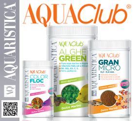 AQUA Club mangimi
