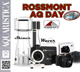 Rossmont AQ DAY